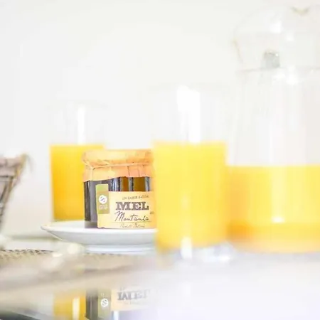 Apartman Timeless Ii